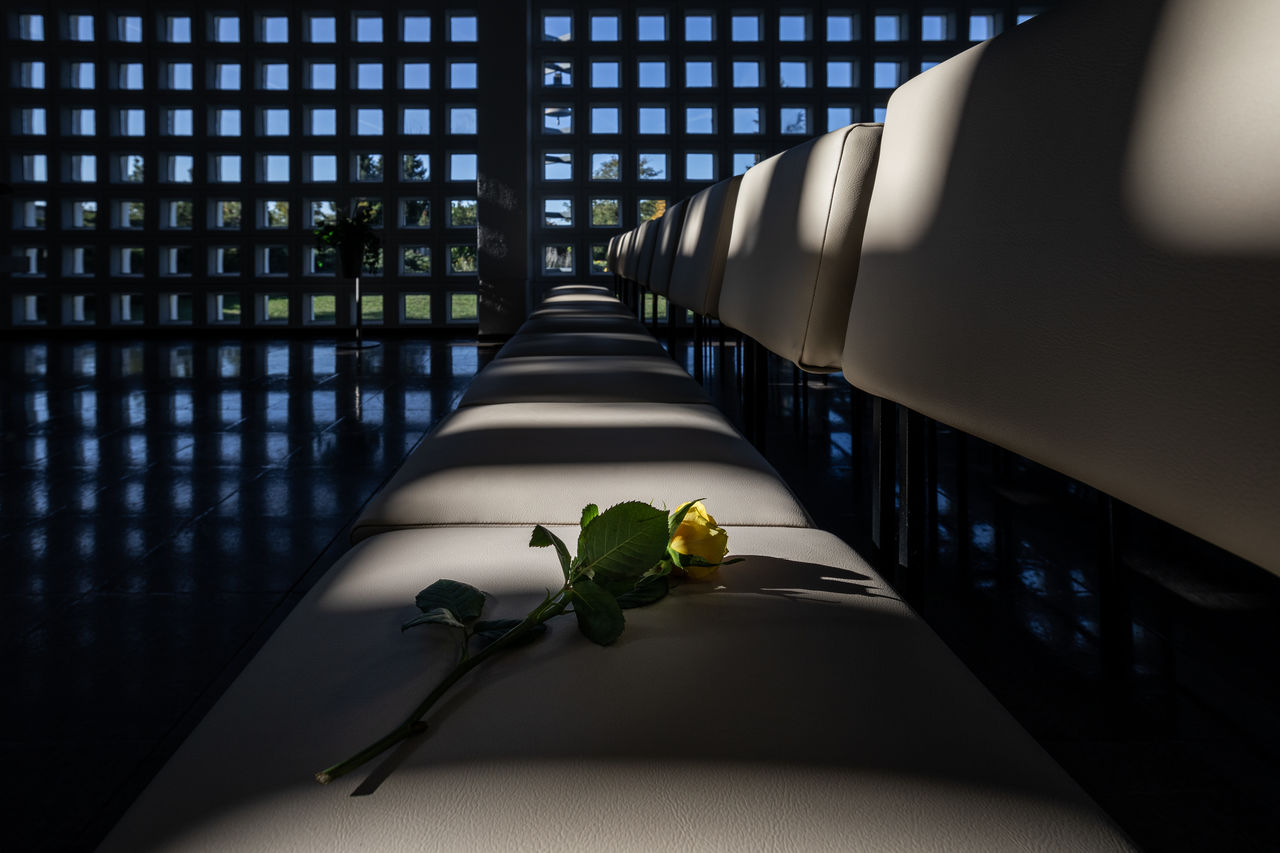 Yellow rose on leather chair brightly lit by the sun at a funeral service against glass brick wall
