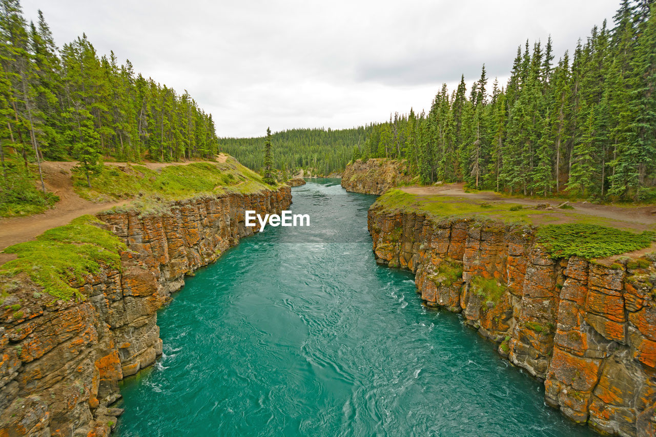 Fast moving water in a miles canyon in the yukon