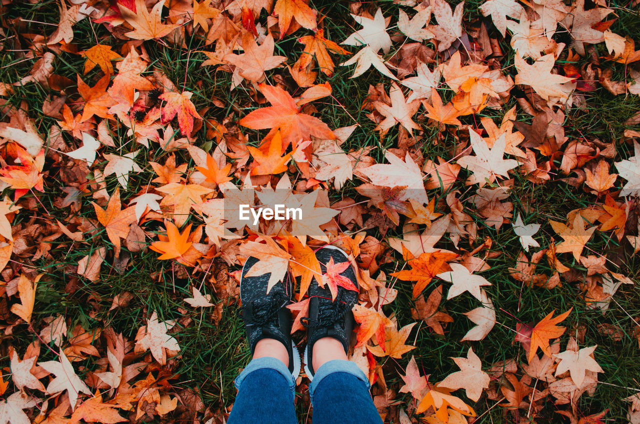 Low section of woman standing on autumn leaves