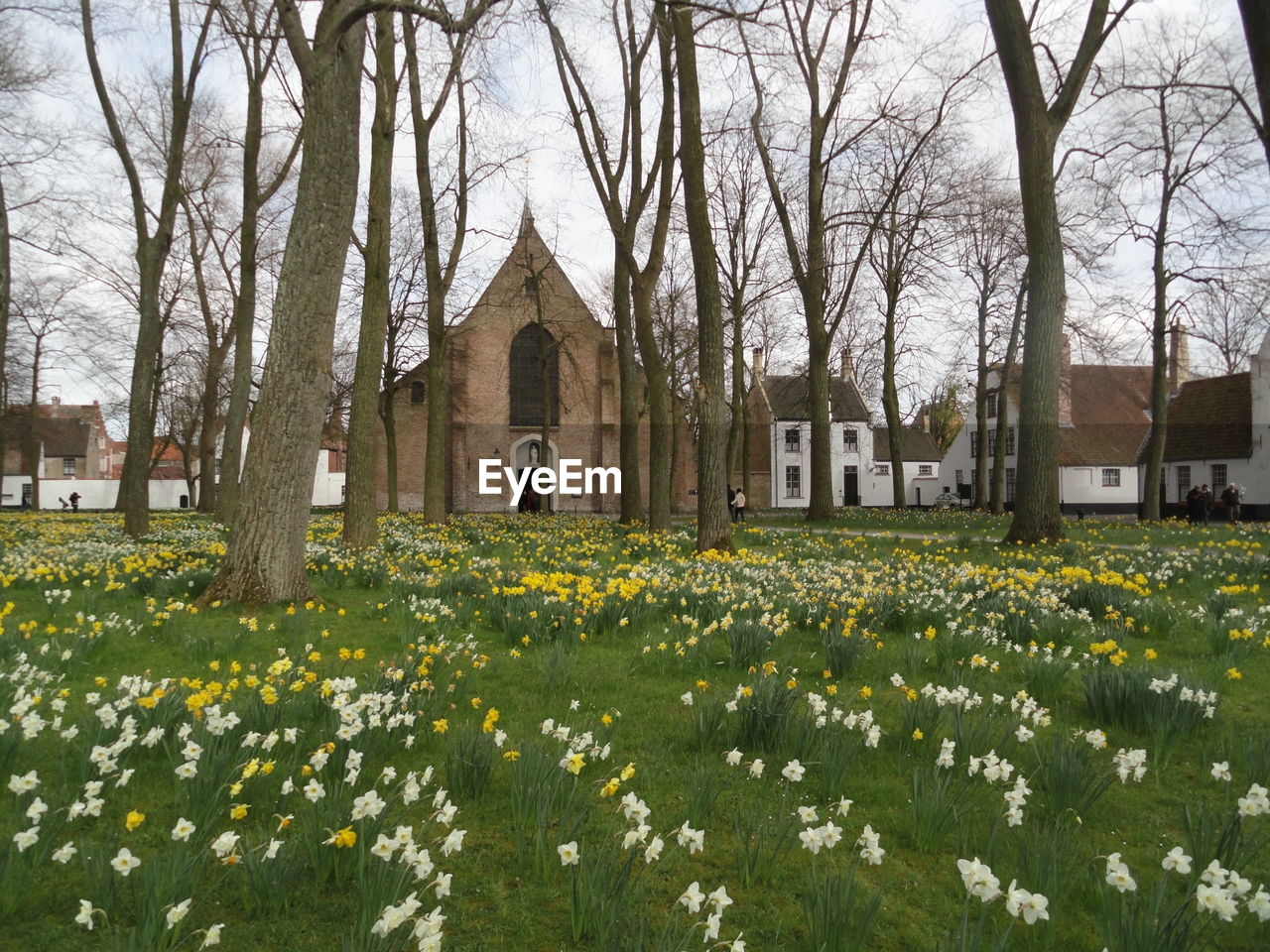 Church on field against sky