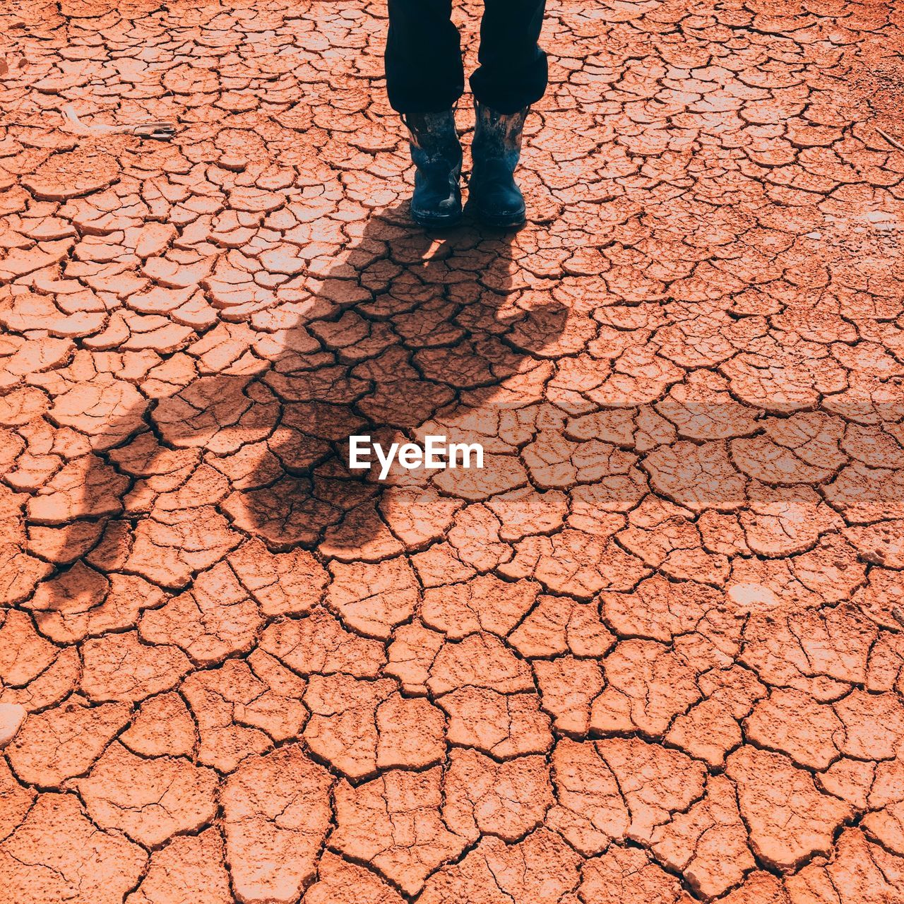 Low section of person standing on dry ground