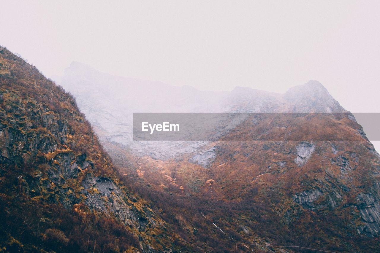 Moss growing on rock formation during foggy weather