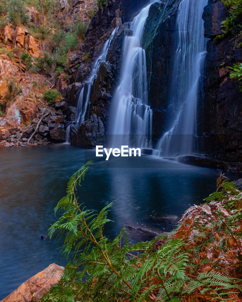 WATERFALL IN FOREST