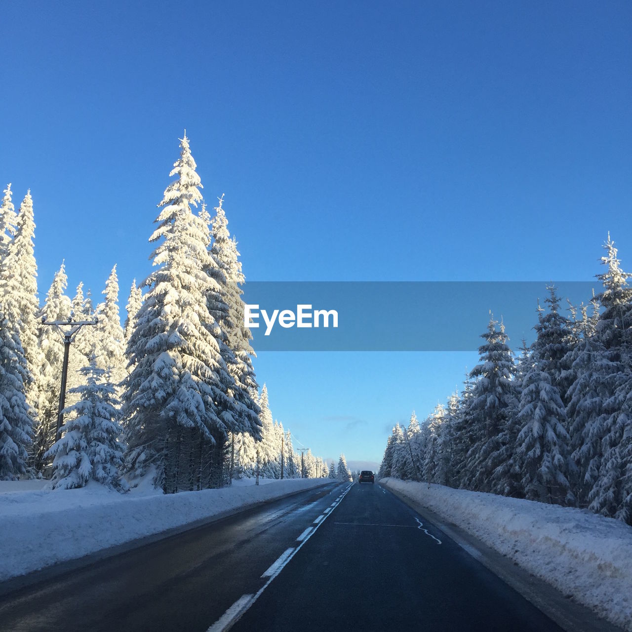 Road amidst trees against clear blue sky during winter