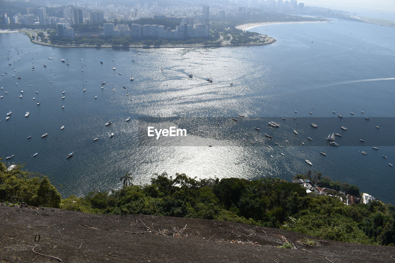 HIGH ANGLE VIEW OF BIRDS OVER SEA