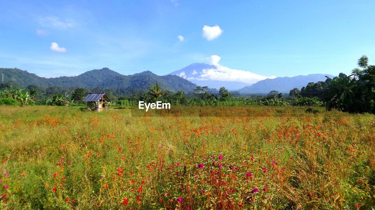 Sidemen, bali, indonesia.