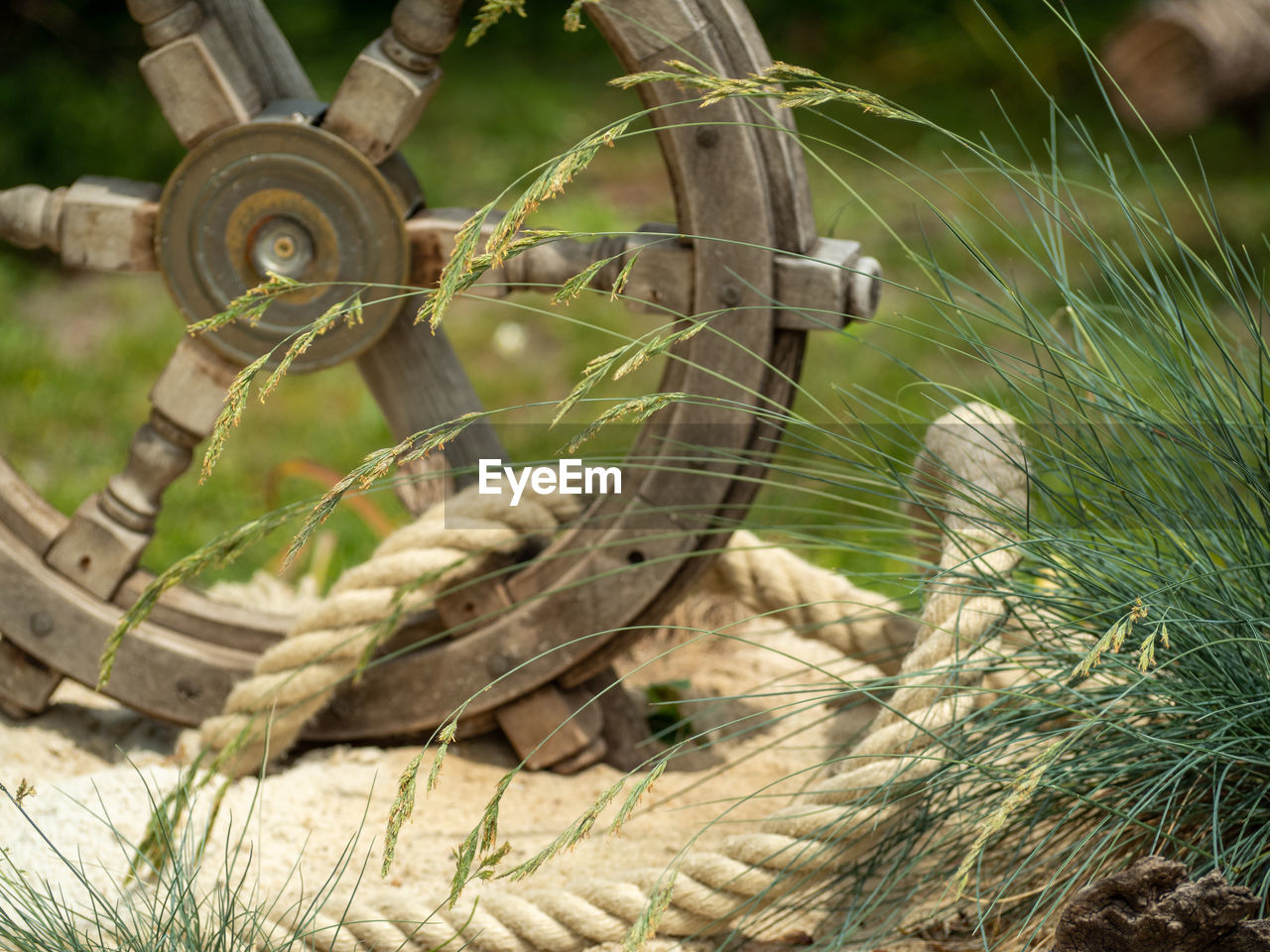 wheel, plant, grass, nature, no people, day, transportation, close-up, outdoors, old, land, vehicle, field, focus on foreground, rope