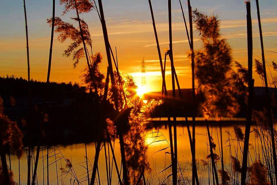 sunset, sky, water, nature, beauty in nature, evening, plant, silhouette, tranquility, sun, scenics - nature, tree, reflection, tranquil scene, cloud, orange color, dusk, no people, sunlight, afterglow, idyllic, outdoors, landscape, lake, environment, land, dramatic sky, back lit, non-urban scene, tropical climate, travel destinations, twilight, beach, palm tree