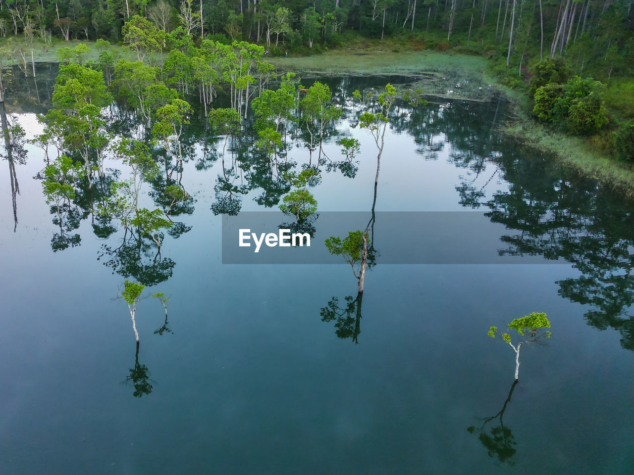 Scenic view of lake