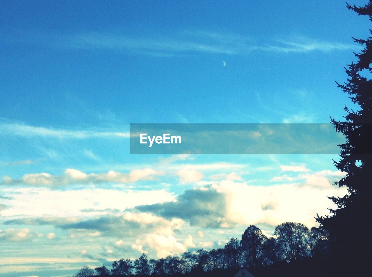 Low angle view of cloudy sky over forest