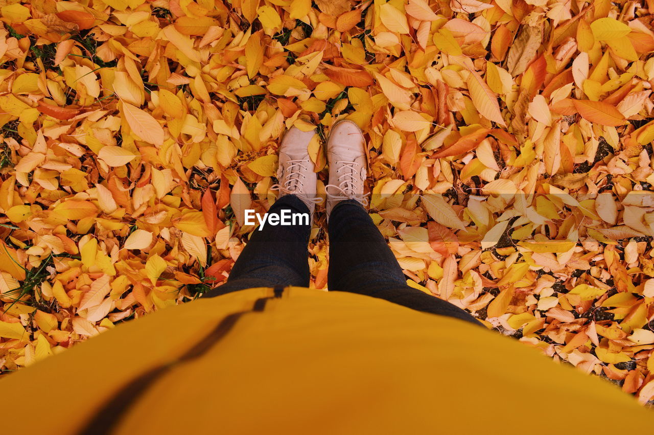 Low section of woman standing on yellow autumn leaves