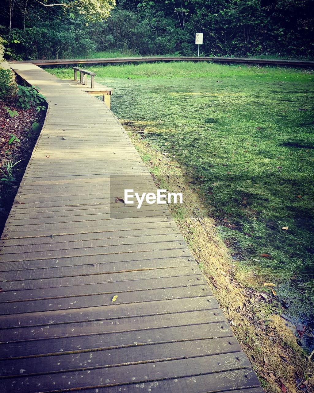 BIRD FLYING OVER GRASS