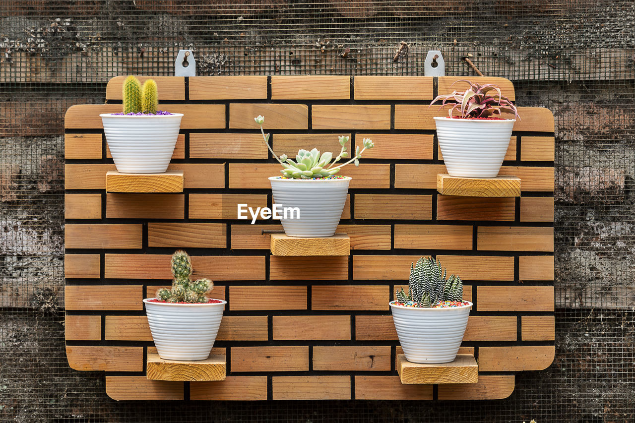 Potted plant on steps against brick wall