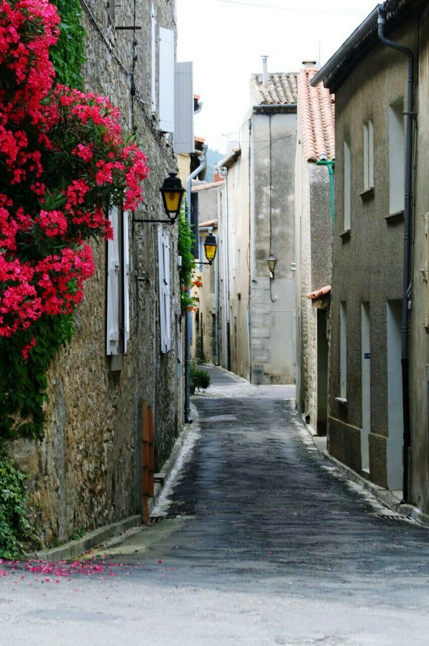 NARROW ALLEY WITH BUILDINGS IN BACKGROUND