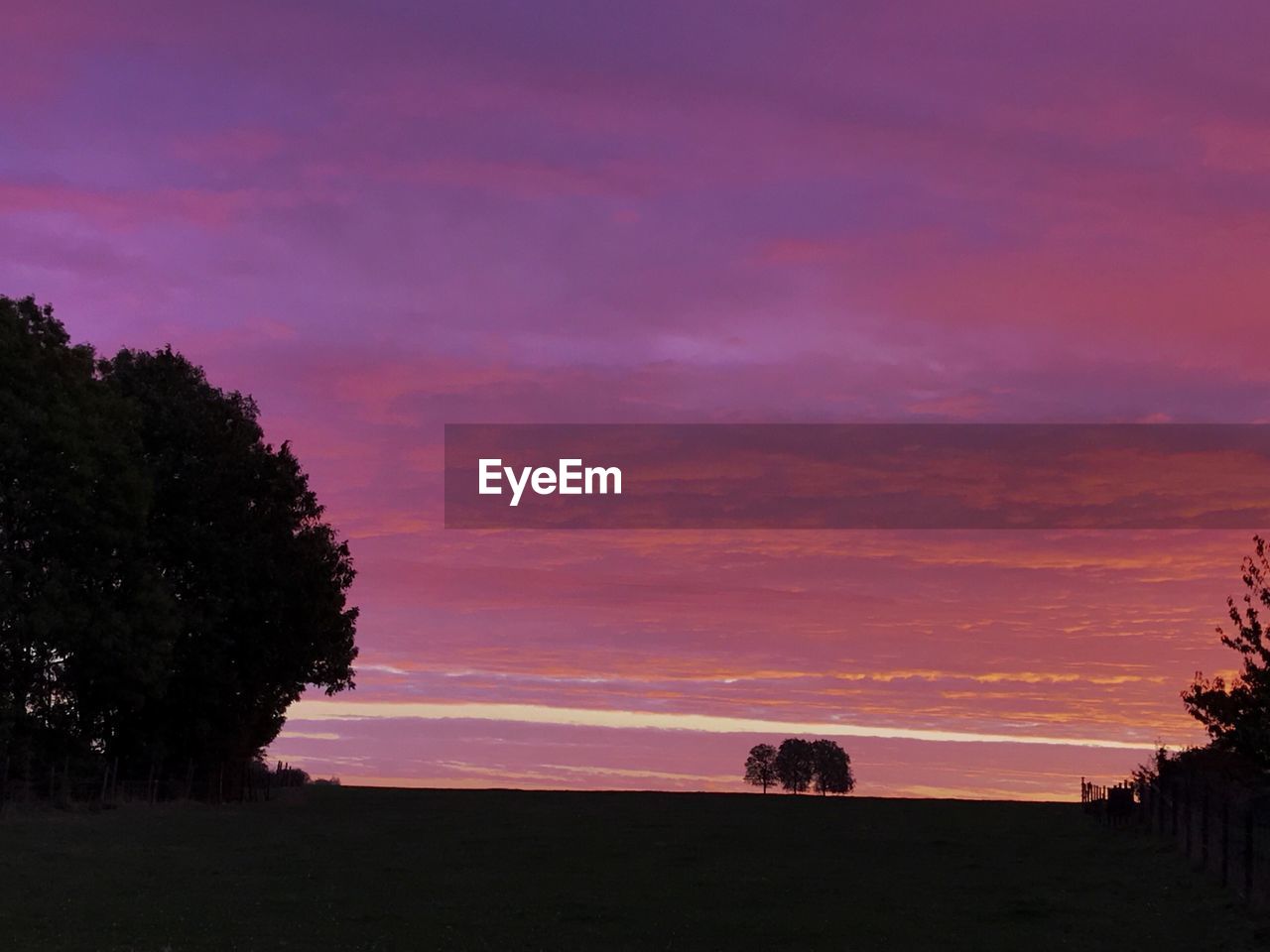 SILHOUETTE TREES ON FIELD AGAINST ORANGE SKY