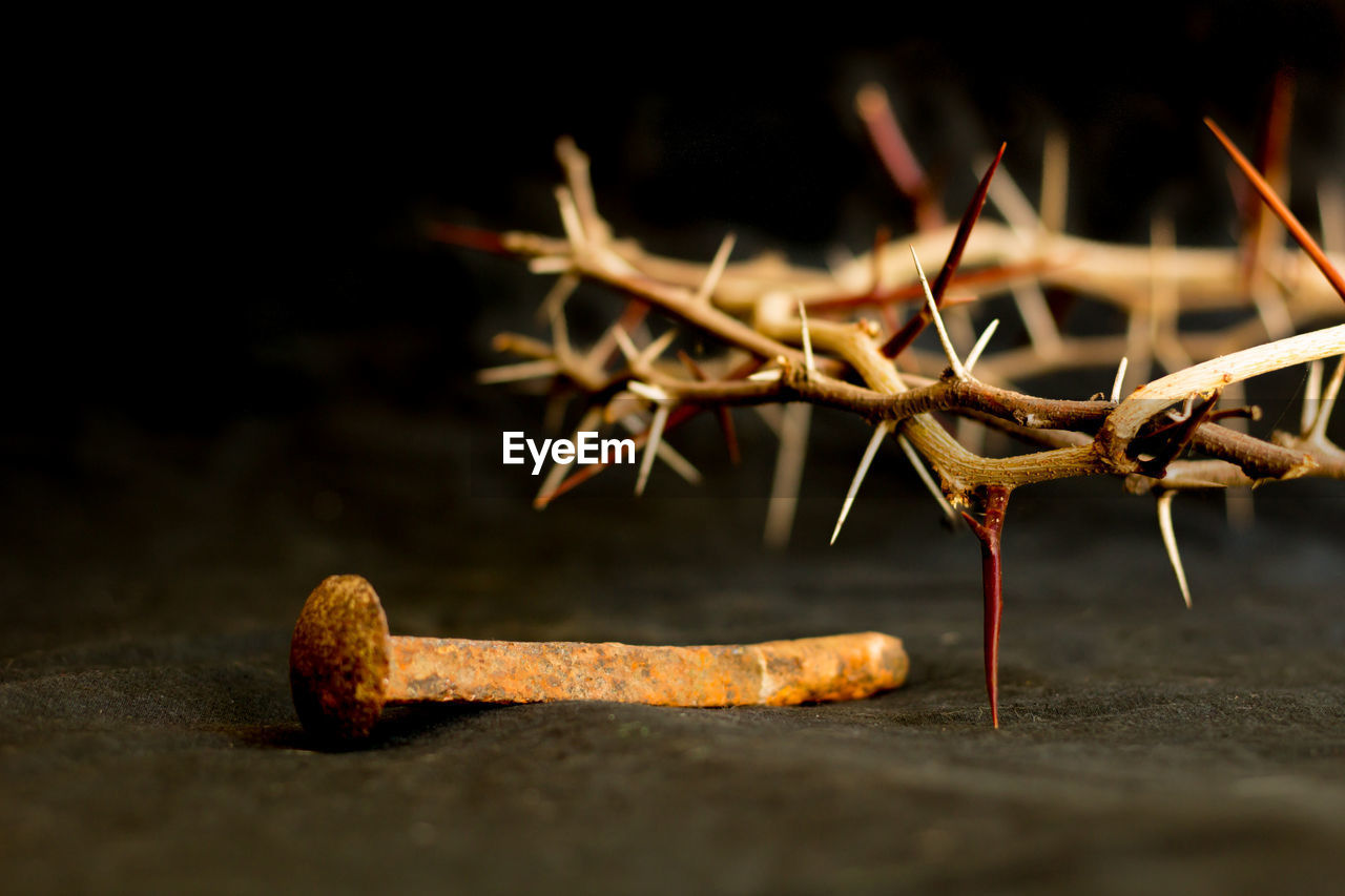 Crown of thorns and nails symbols of the christian crucifixion in easter