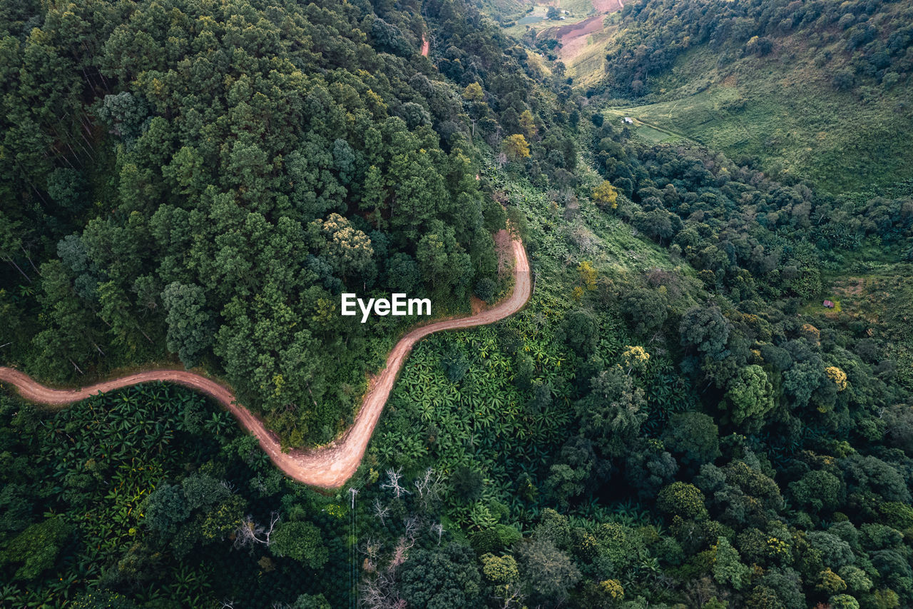 High angle view of green landscape