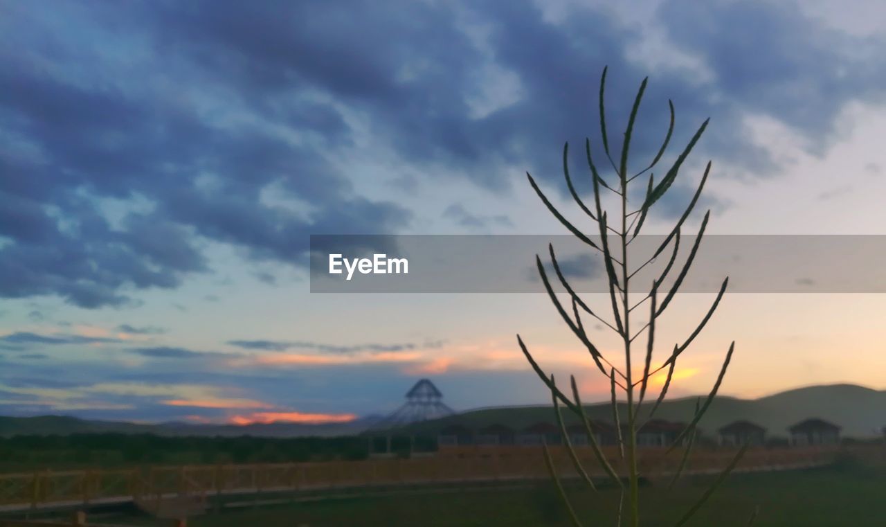 SCENIC VIEW OF FIELD AGAINST CLOUDY SKY