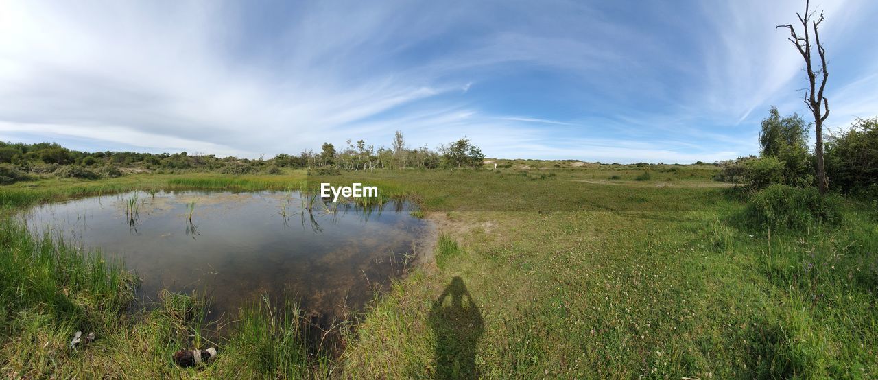 SCENIC VIEW OF SWAMP BY FIELD AGAINST SKY