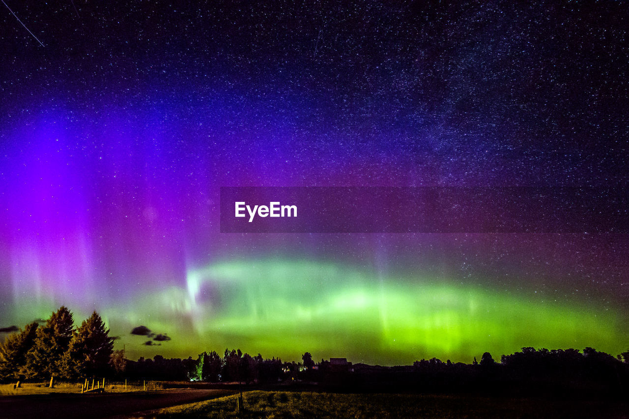 LOW ANGLE VIEW OF TREES AGAINST STAR FIELD