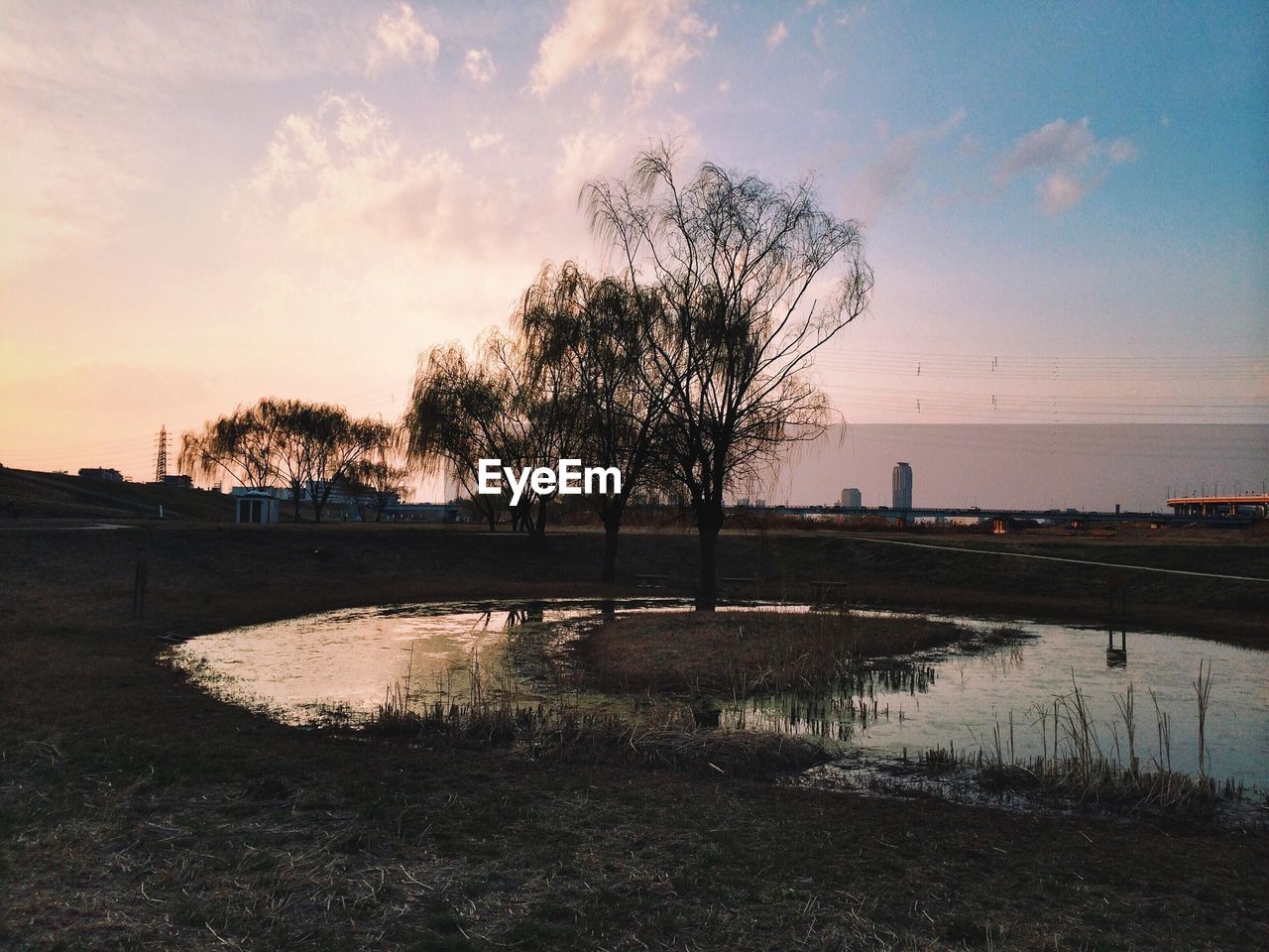 Puddle in field with city in background