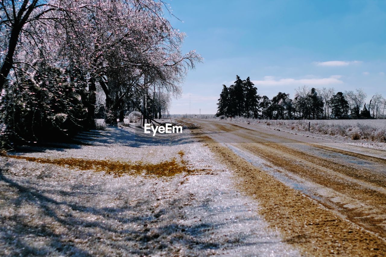 View of trees on landscape against sky