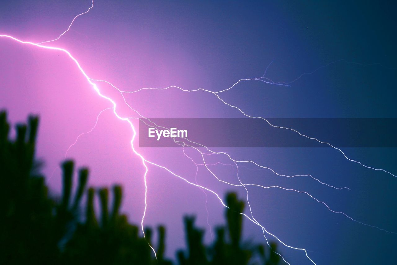 Low angle view of lightning against sky at night