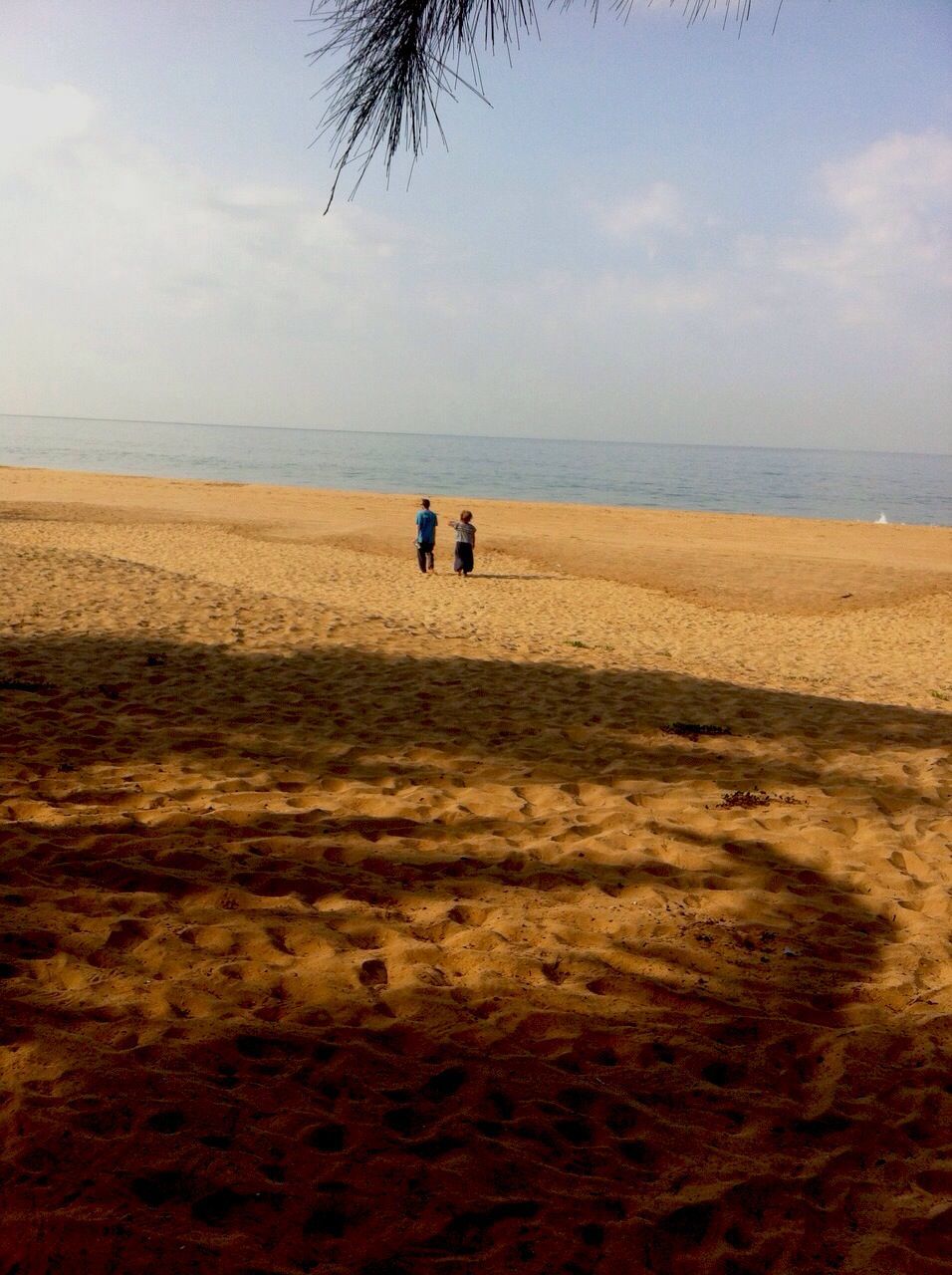 Rear view of couple walking on beach