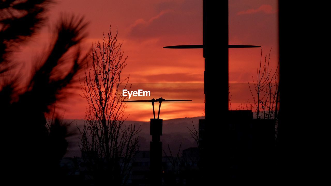 Silhouette of trees against dramatic sky