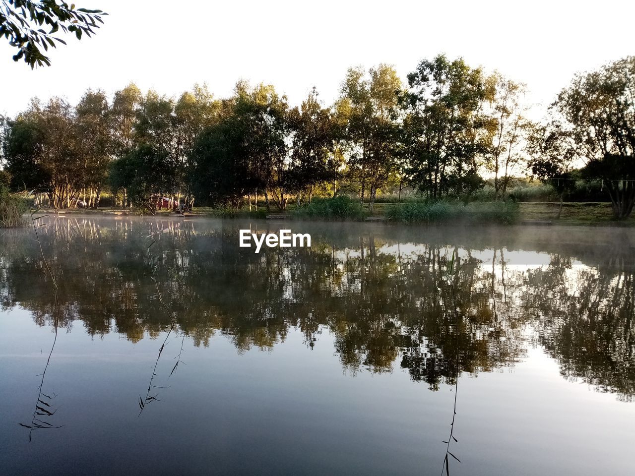 REFLECTION OF TREES IN LAKE AGAINST SKY