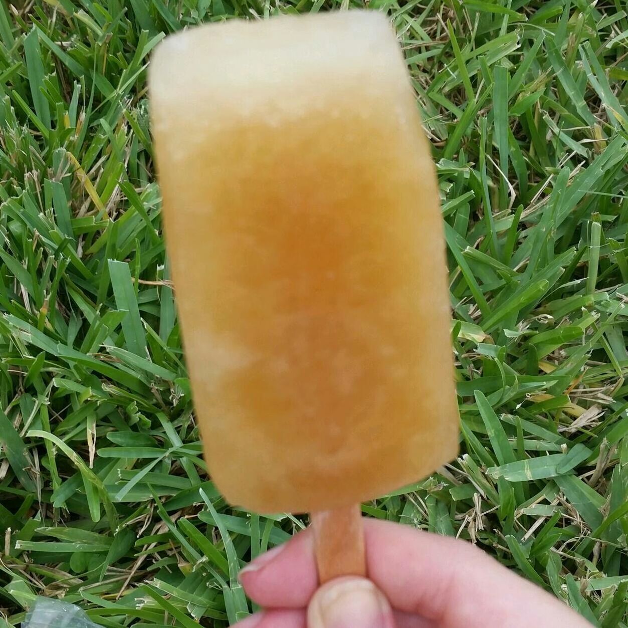 CLOSE-UP OF HAND HOLDING ICE CREAM