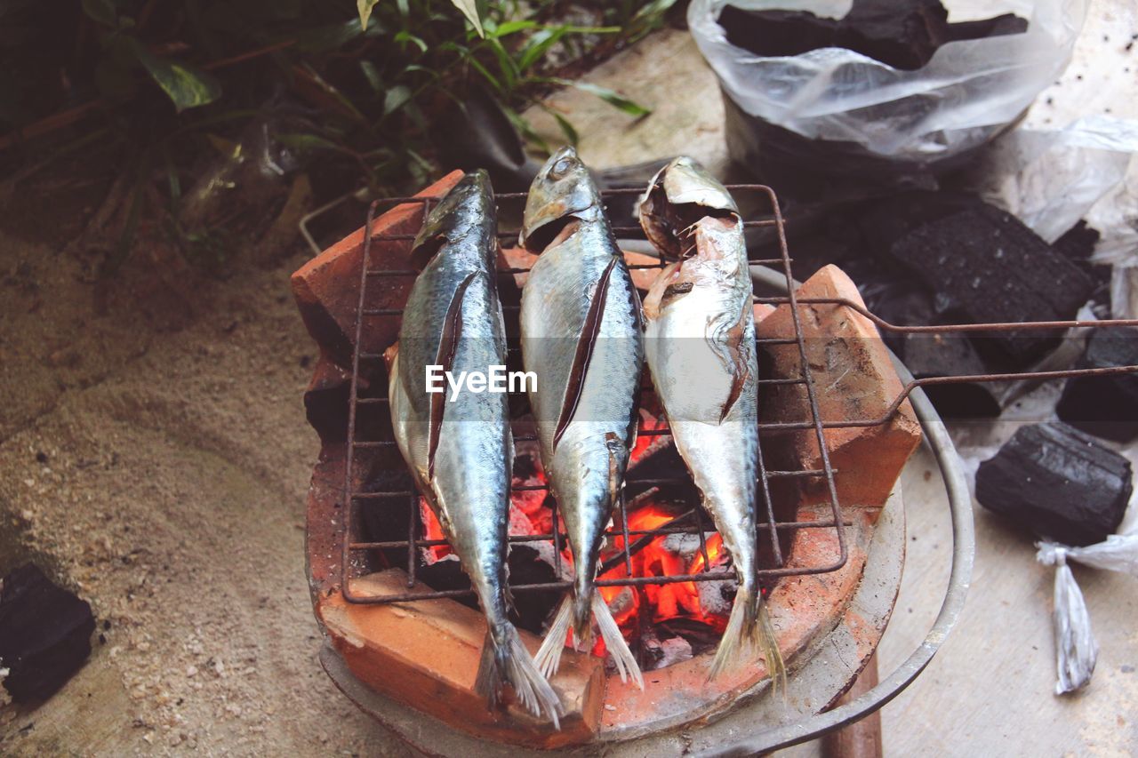 HIGH ANGLE VIEW OF FOOD ON FLOOR