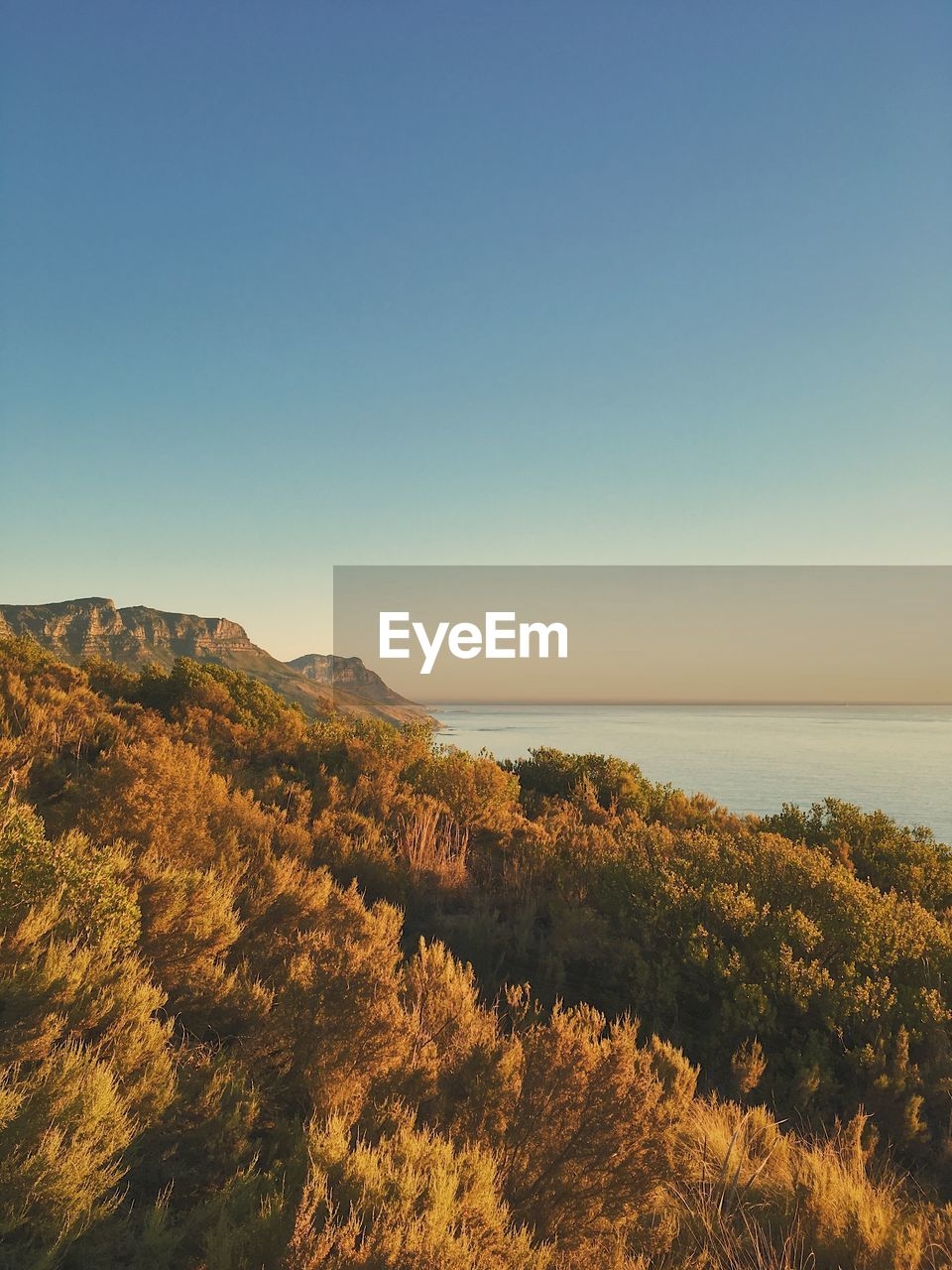 Scenic view of sea and clear sky