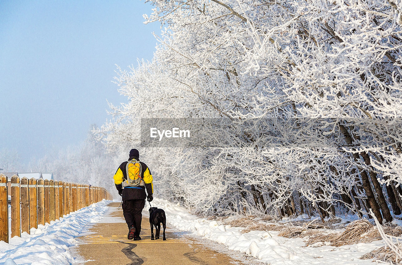 Rear view of man with dog walking on snow covered road
