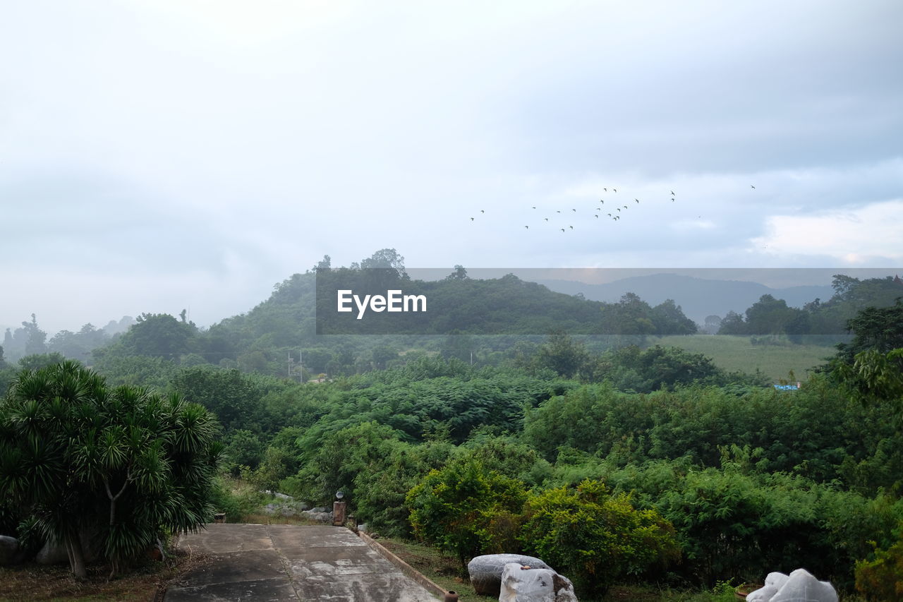 Scenic view of green landscape against sky