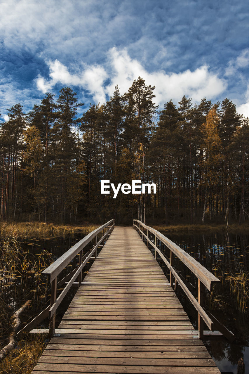 View of footbridge in forest