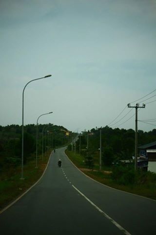 EMPTY ROAD WITH TREES IN BACKGROUND