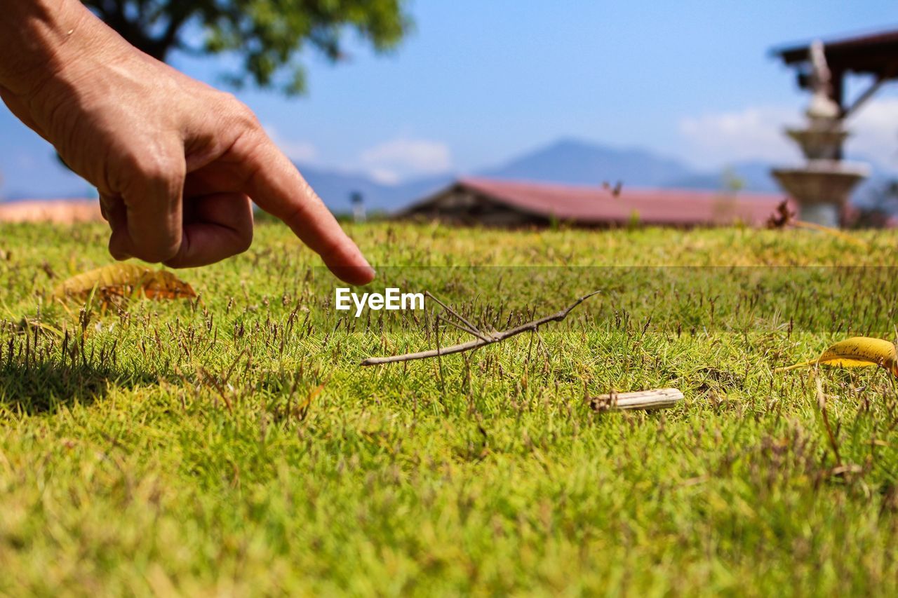 Cropped hand of man pointing over field