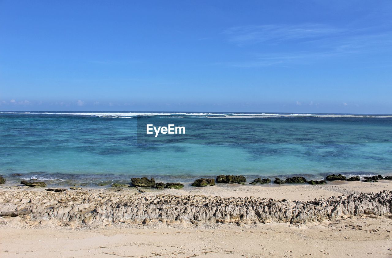 sea, water, land, body of water, beach, sky, shore, horizon, sand, ocean, scenics - nature, beauty in nature, nature, horizon over water, coast, wave, blue, vacation, tranquility, tranquil scene, travel destinations, no people, travel, day, wind wave, animal, coastline, outdoors, environment, bay, animal themes, tourism, animal wildlife, idyllic, motion, clear sky, landscape, wildlife, sunny, sunlight, non-urban scene