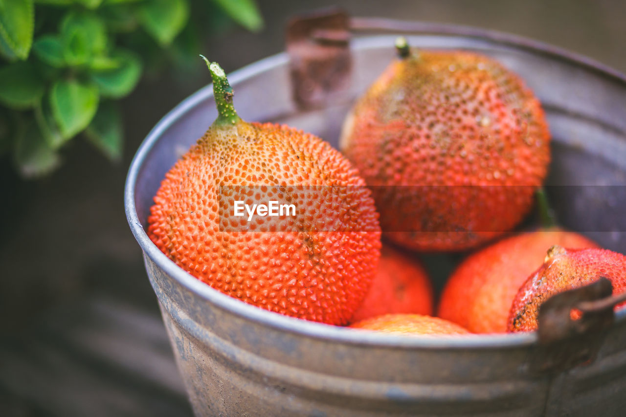 Lychees freshly picked farm