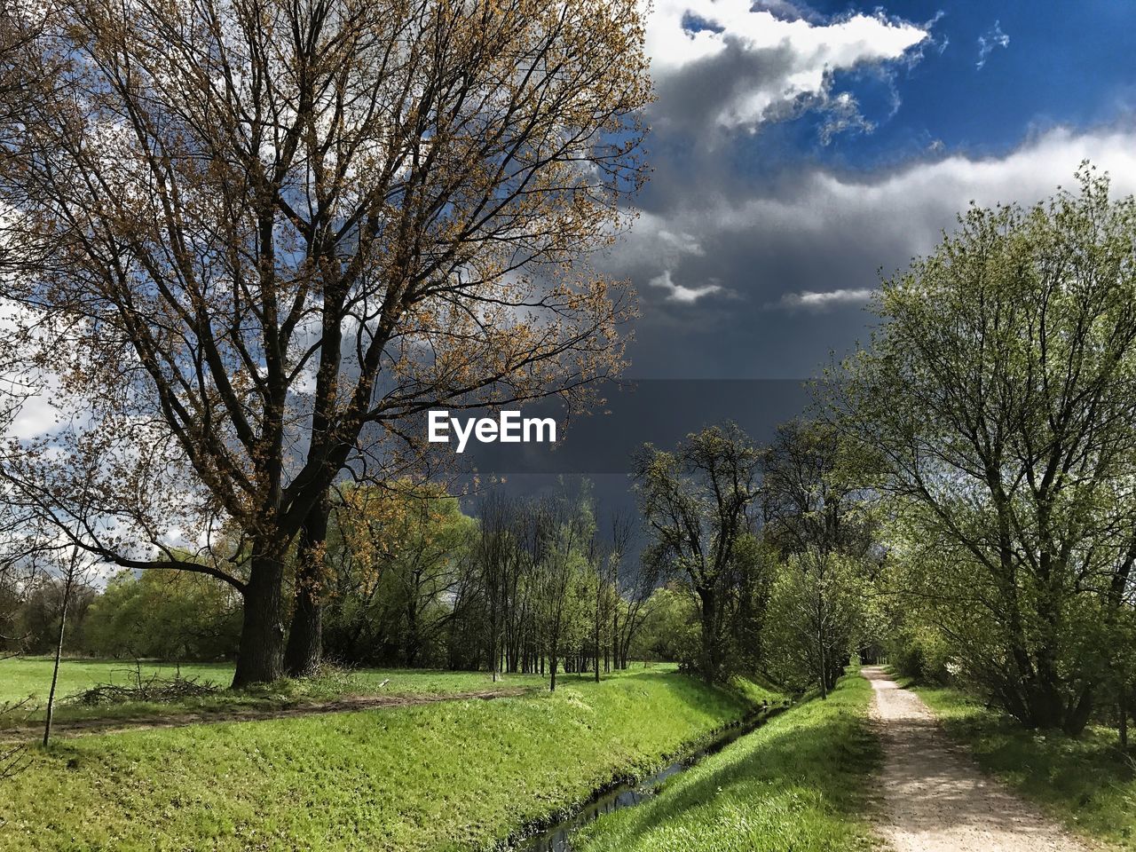 TREES ON LANDSCAPE AGAINST SKY