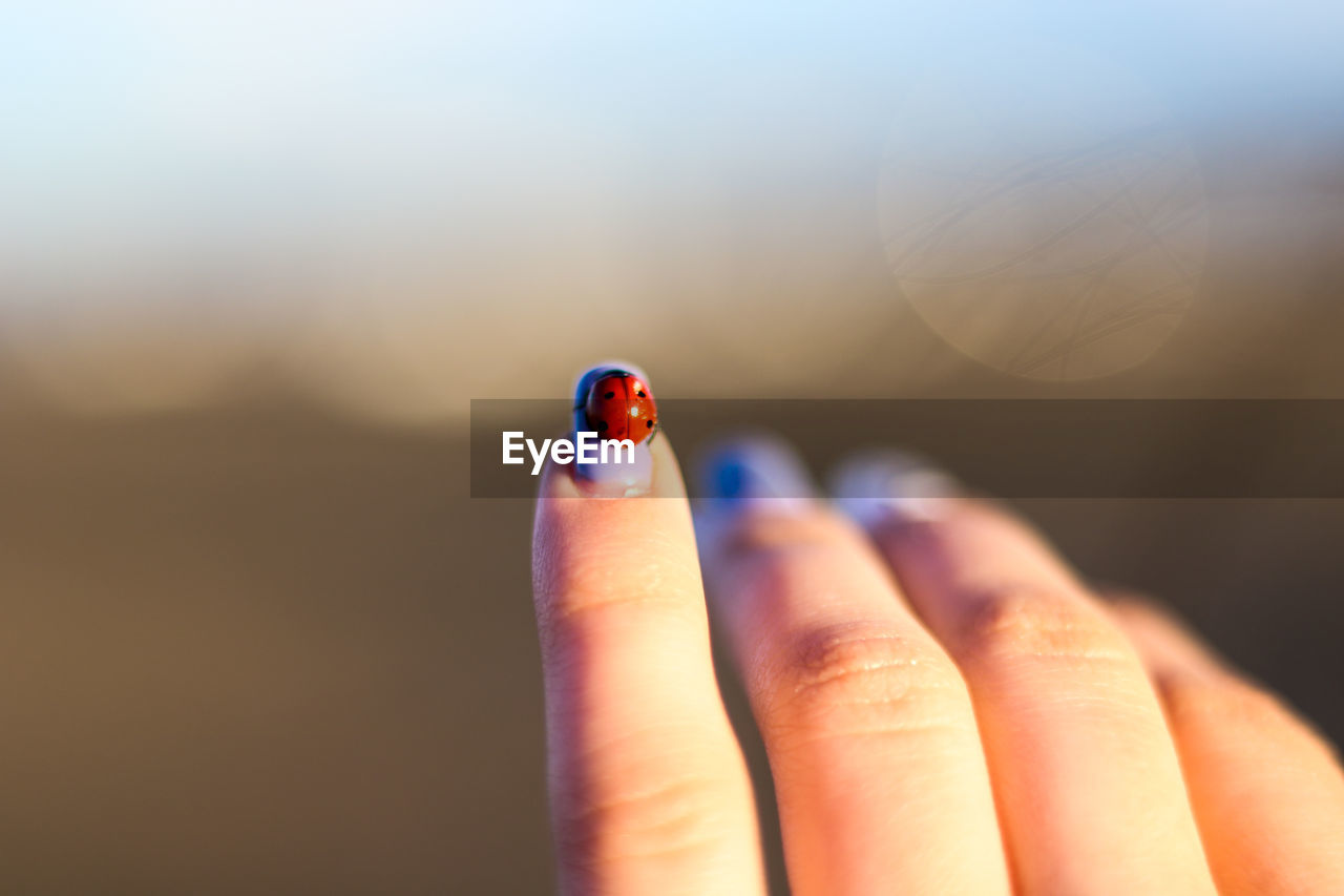 Close-up of woman hand