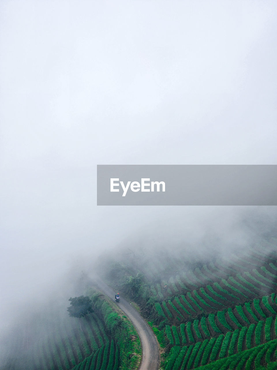 scenic view of agricultural field against clear sky