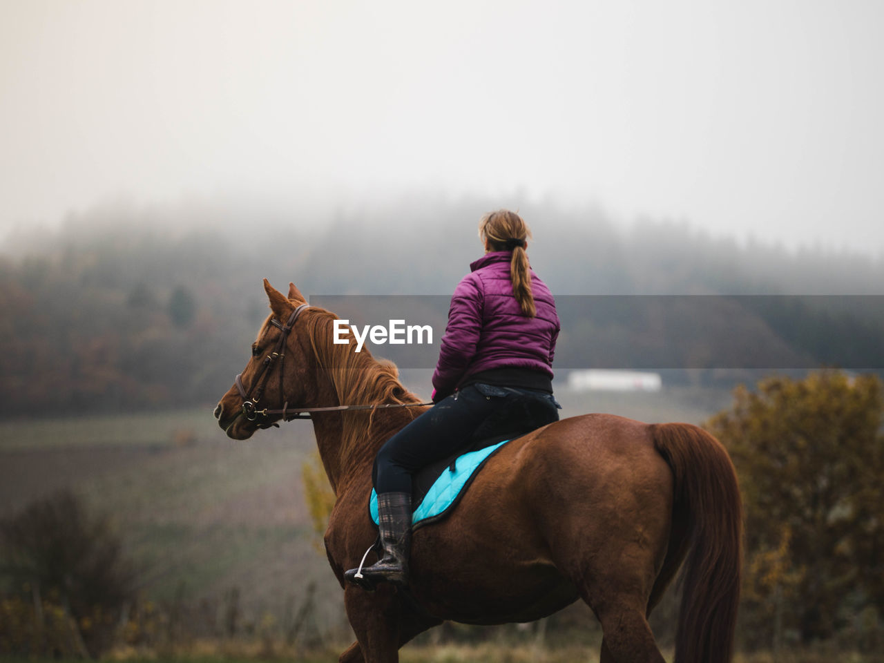 REAR VIEW OF MAN RIDING HORSE ON FIELD AGAINST SKY