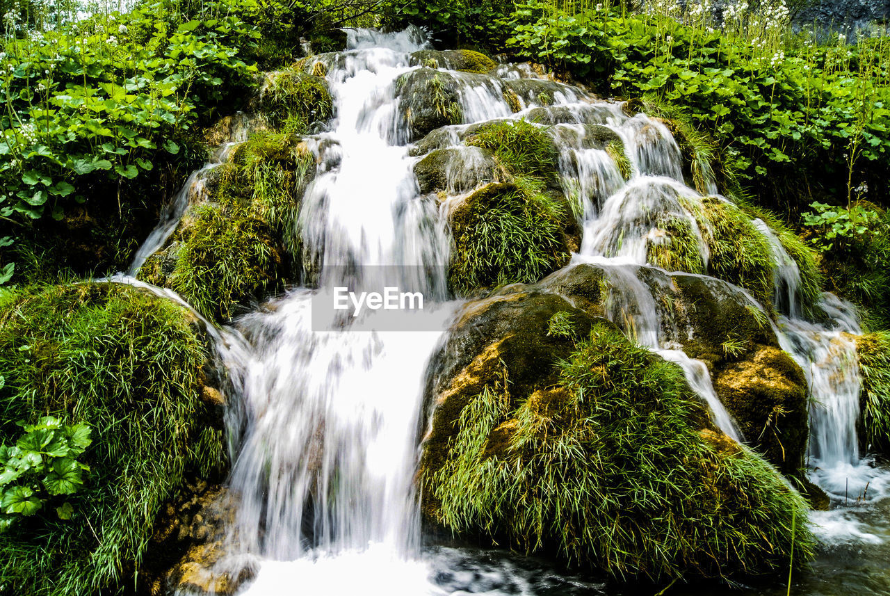 Idyllic view of waterfall in forest