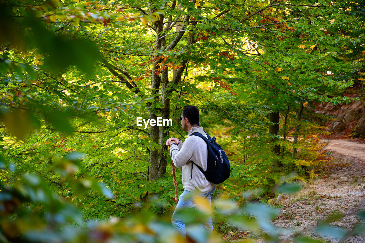 Rear view of a backpacker woman hiking into green forest