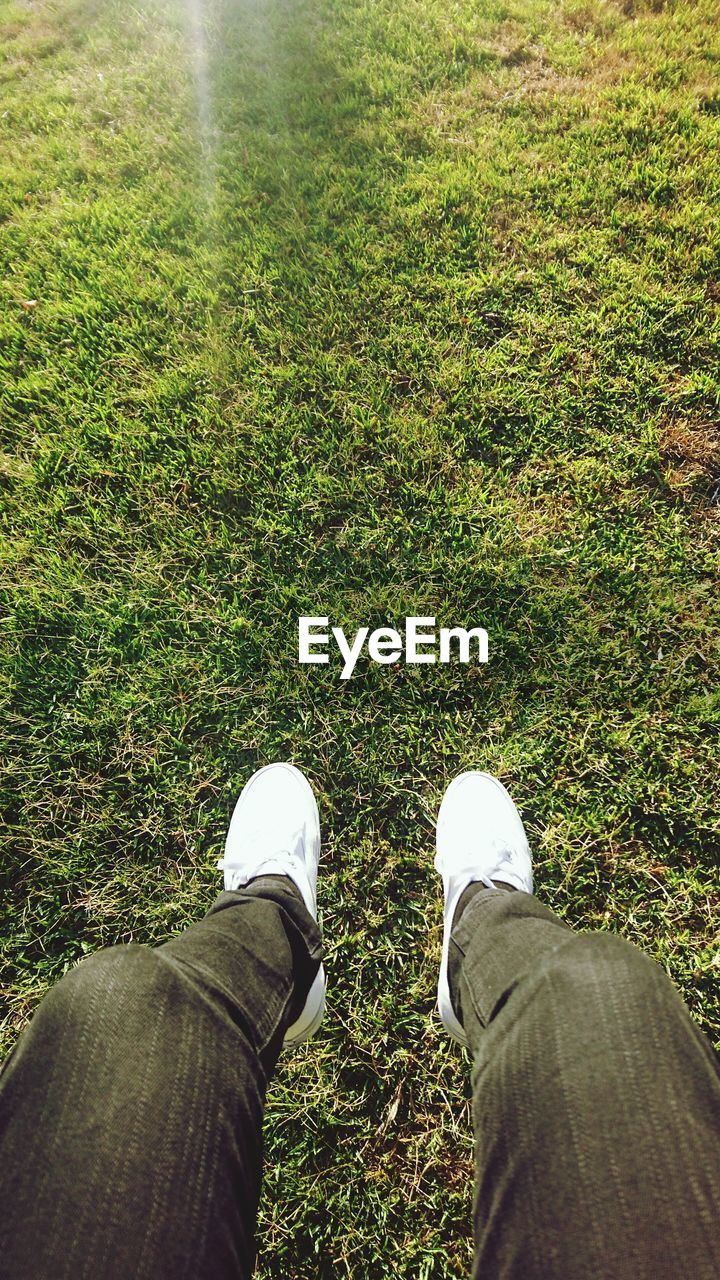 LOW SECTION OF MAN STANDING ON GREEN GRASS