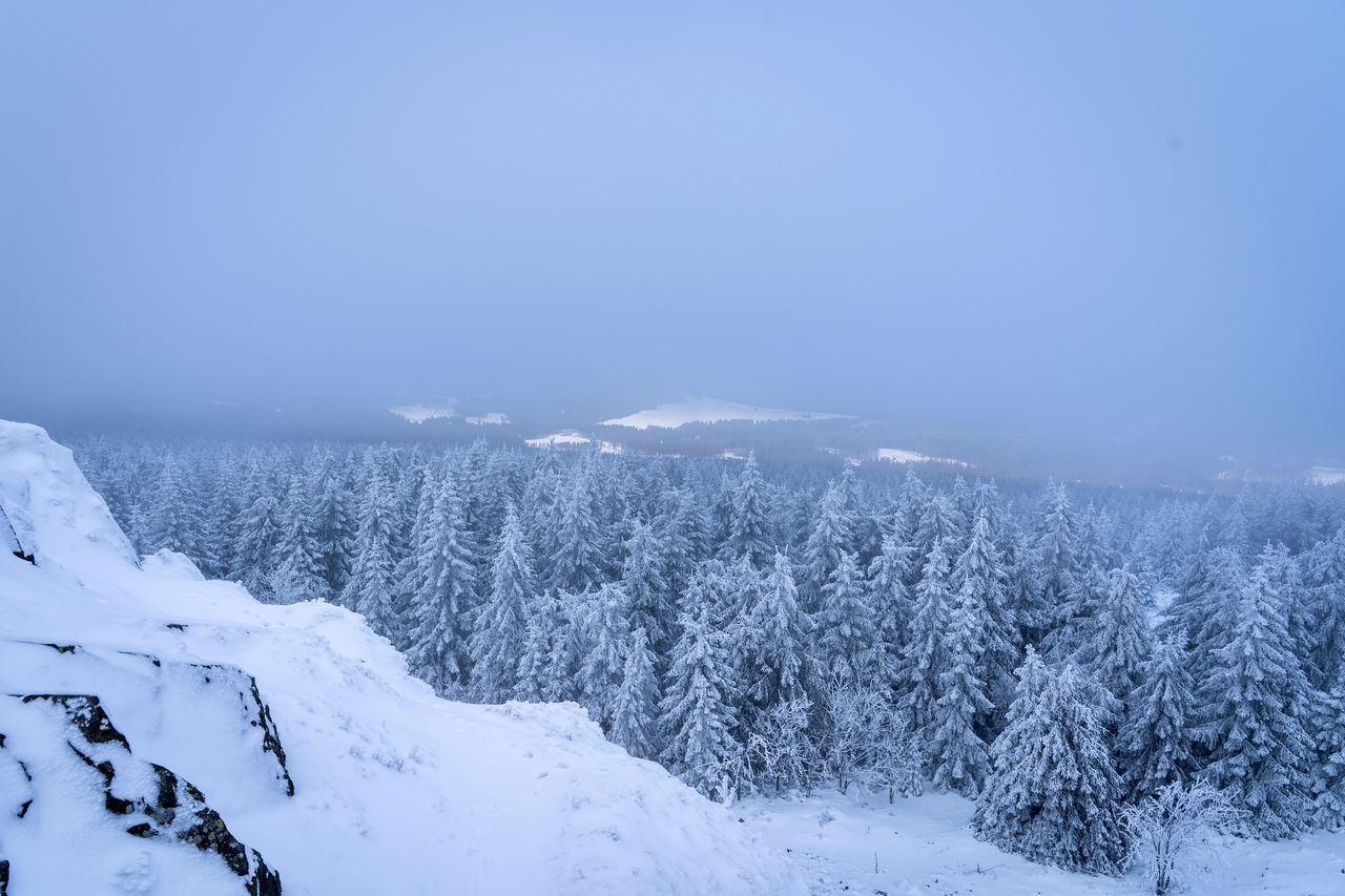 winter, cold temperature, snow, environment, landscape, scenics - nature, tree, beauty in nature, forest, nature, sky, mountain, plant, land, mountain range, blue, coniferous tree, pine tree, tranquil scene, frozen, tranquility, woodland, fog, no people, pinaceae, pine woodland, non-urban scene, travel destinations, white, snowcapped mountain, copy space, polar climate, travel, panoramic, cloud, piste, outdoors, ice, snowing, tourism, loneliness, rural scene, idyllic, freezing, day, holiday, evergreen tree, ridge, valley, remote