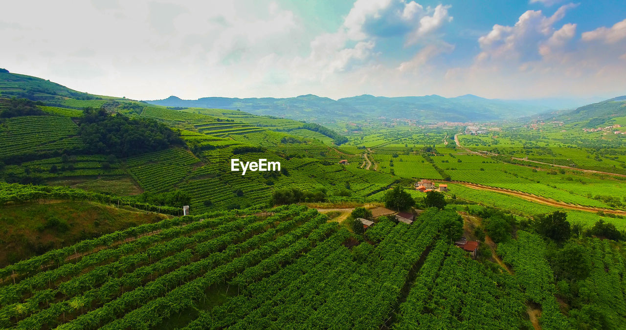 SCENIC VIEW OF FARMS AGAINST SKY