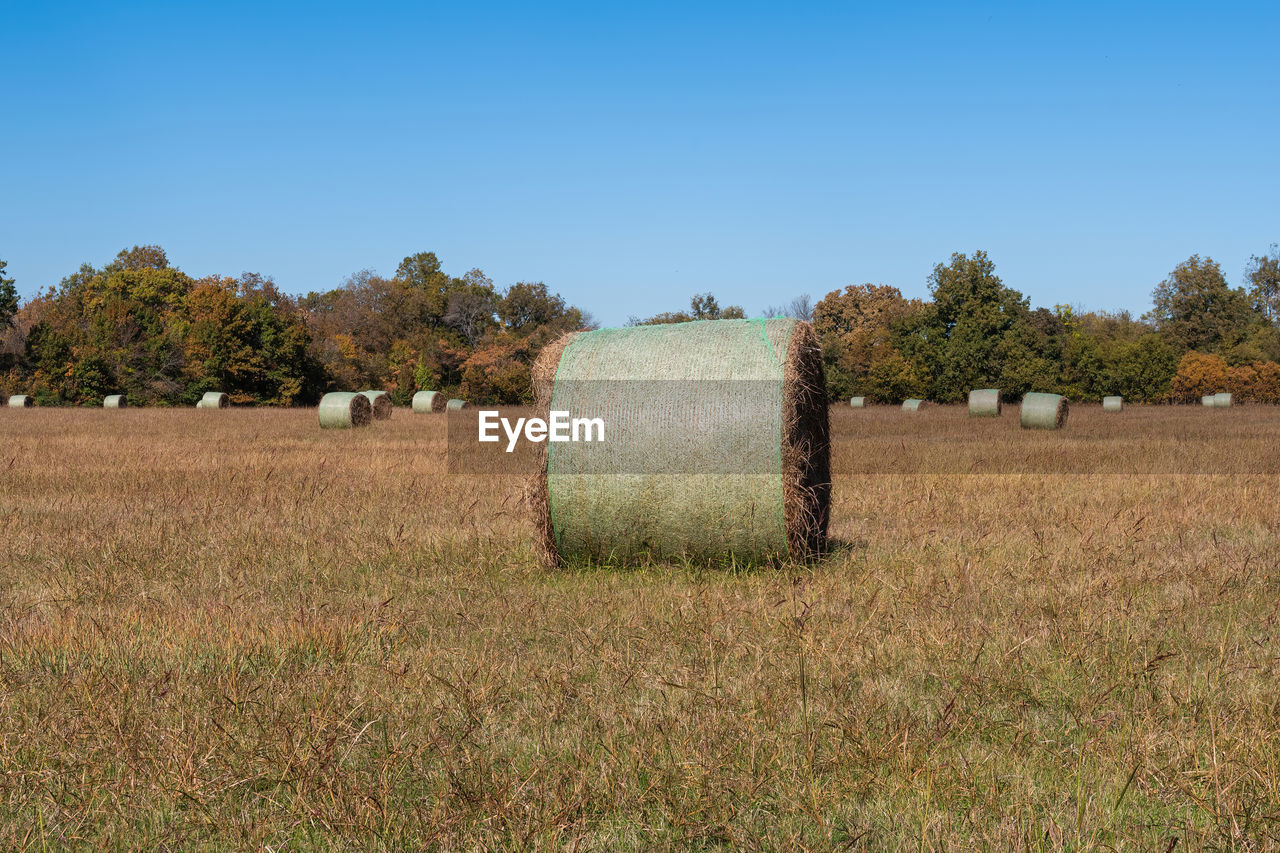 A large, round hay bale in a grassy farm field with trees and more bales in the background.